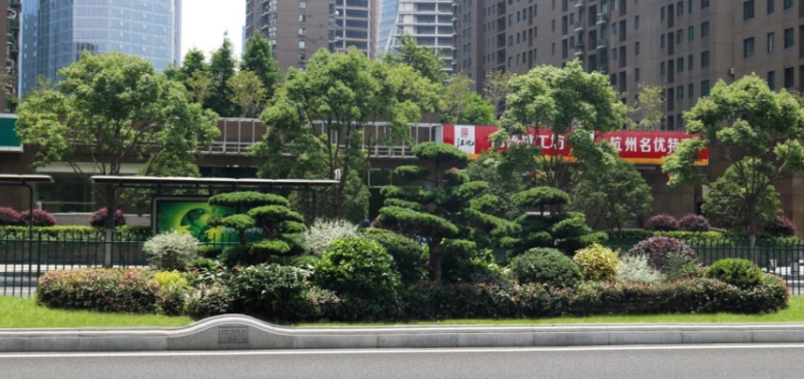 園冶杯專業(yè)獎(jiǎng)：新塘路（新風(fēng)路-新業(yè)路）綜合整治工程景觀綠化Ⅰ標(biāo)段