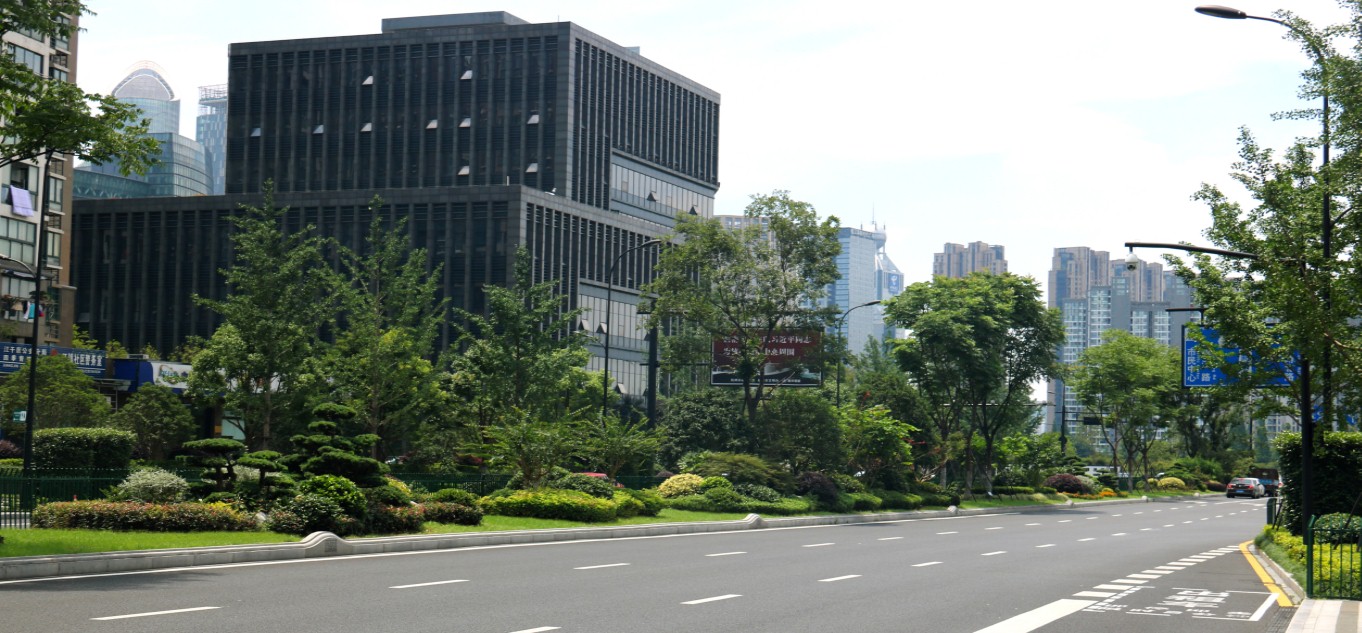 園冶杯專業(yè)獎(jiǎng)：新塘路（新風(fēng)路-新業(yè)路）綜合整治工程景觀綠化Ⅰ標(biāo)段