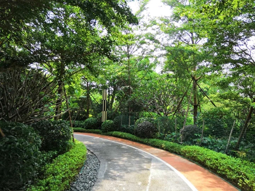 園冶杯專業(yè)獎：泰豐花園一期A標(biāo)段展示區(qū)園林景觀工程