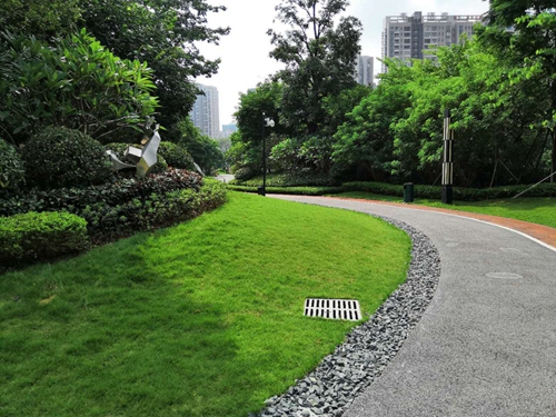 園冶杯專業(yè)獎：泰豐花園一期A標(biāo)段展示區(qū)園林景觀工程