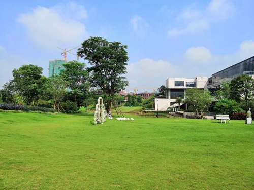 園冶杯專業(yè)獎：泰豐花園一期A標(biāo)段展示區(qū)園林景觀工程
