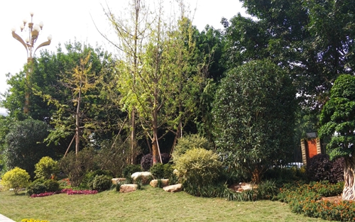 園冶杯專業獎：資陽市嬌子大道綜合整治建設工程-節點景觀提升