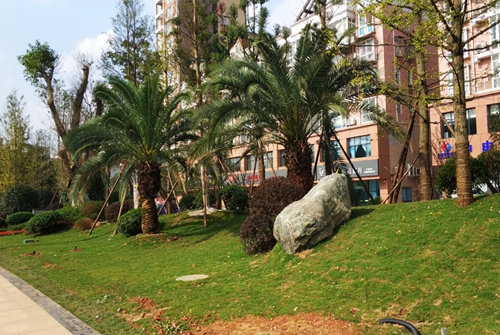 園冶杯專業獎：資陽市嬌子大道綜合整治建設工程-節點景觀提升