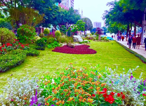 園冶杯專業獎：資陽市嬌子大道綜合整治建設工程-節點景觀提升