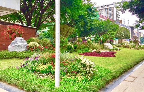 園冶杯專業獎：資陽市嬌子大道綜合整治建設工程-節點景觀提升