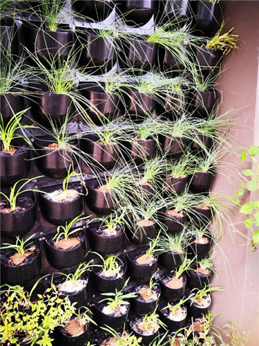 園冶杯專業(yè)獎(jiǎng)：中航資本大廈超高層屋頂花園