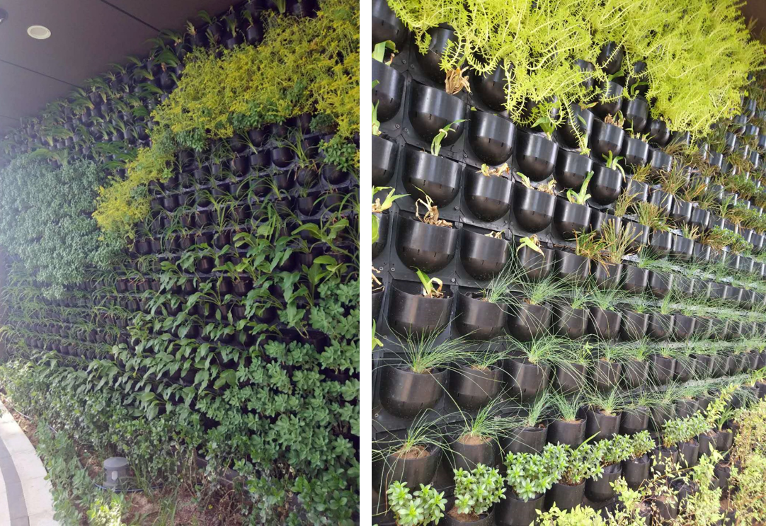 園冶杯專業(yè)獎(jiǎng)：中航資本大廈超高層建筑屋頂花園
