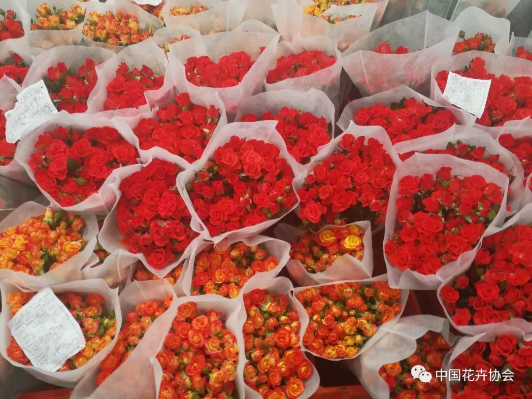 花卉界兩項成果獲2018年度國家科學(xué)技術(shù)獎