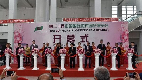 2018中國花卉市場(chǎng)回顧：風(fēng)云變幻 電商崛起