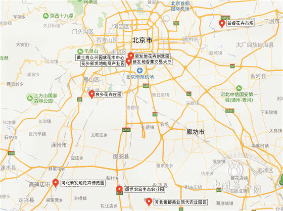 北京花卉市場疏解搬遷現(xiàn)狀調(diào)查