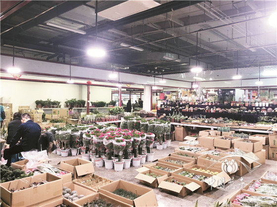 北京花卉市場疏解搬遷現(xiàn)狀調(diào)查