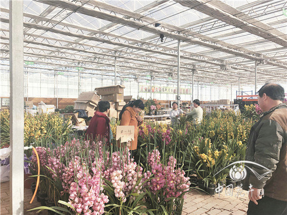 北京花卉市場疏解搬遷現(xiàn)狀調(diào)查