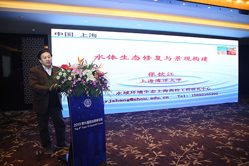 人水和諧水城相融，中外專家交流海綿城市建設發展經驗