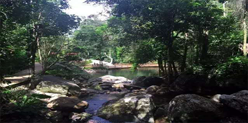 陳俊霄：大象無形 隱于山水間 格物致知 泰心以證道