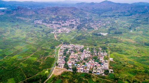 鄉村振興落地園林行業大有可為，但謹防走入誤區