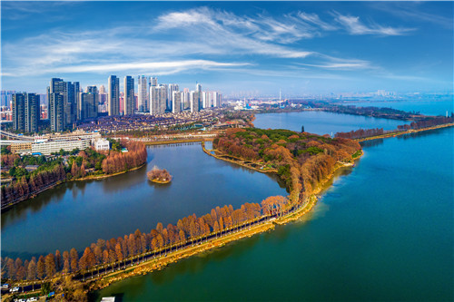 令人拍案叫絕的綠道景觀設(shè)計