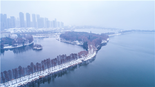 令人拍案叫絕的綠道景觀設(shè)計