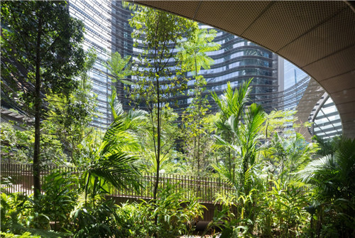 埃菲爾鐵塔周邊將改造為大花園，由哪位大師設計？