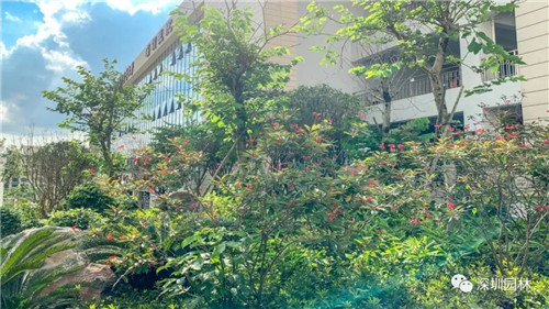 雖然這是座醫(yī)院，但景觀美的不像話！