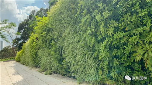 雖然這是座醫(yī)院，但景觀美的不像話！
