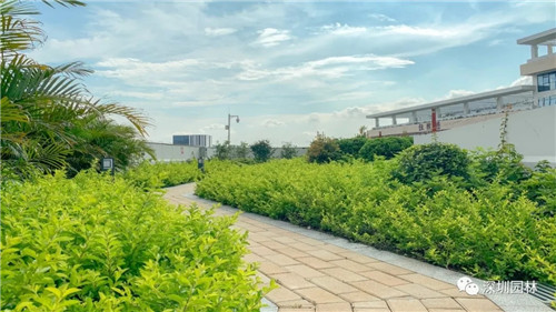 雖然這是座醫(yī)院，但景觀美的不像話！