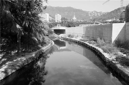 文科園林丨深圳大梅沙河景觀改造設(shè)計