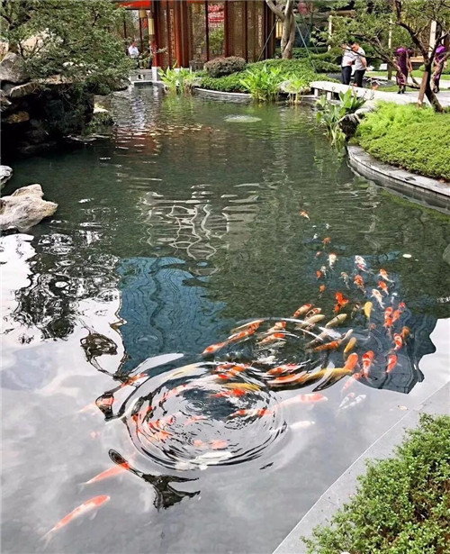 高宅大園　國風賦新丨深圳泰禾金尊府