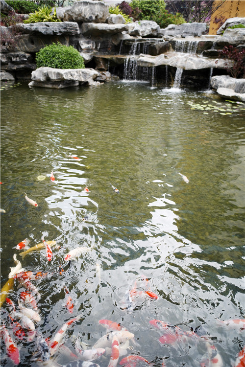 高宅大園　國風賦新丨深圳泰禾金尊府