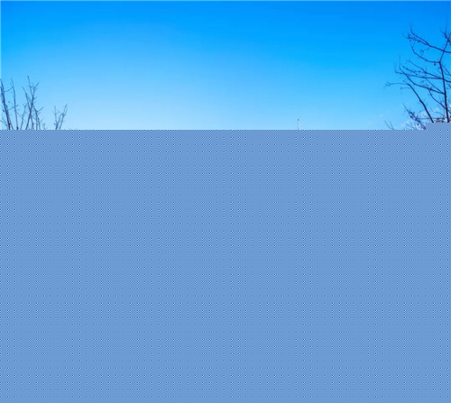 2019園冶杯專業(yè)獎丨合肥潤安公學景觀提升工程（一期）
