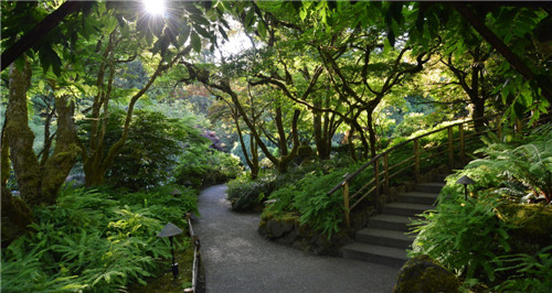 礦坑公園，讓大地傷疤涅槃重生
