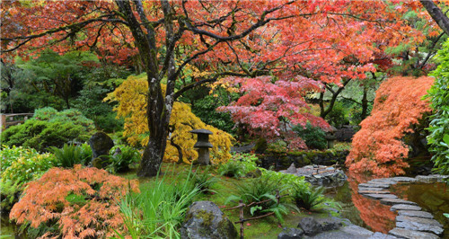 礦坑公園，讓大地傷疤涅槃重生