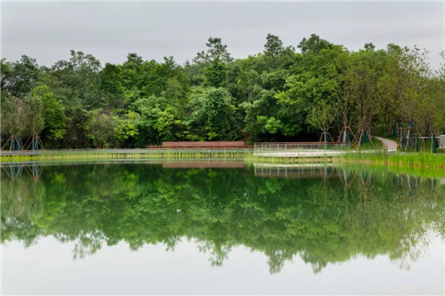 礦坑公園，讓大地傷疤涅槃重生