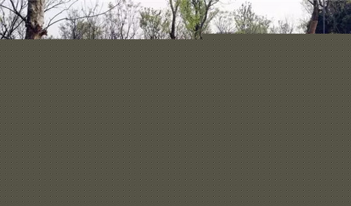 礦坑公園，讓大地傷疤涅槃重生