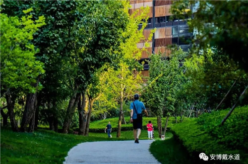 Ramboll Share | 國銳金嵿生態(tài)公園社區(qū)-環(huán)境友好型景觀設(shè)計(jì)與雨洪管理實(shí)踐
