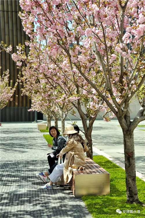 Ramboll Share | 國銳金嵿生態(tài)公園社區(qū)-環(huán)境友好型景觀設(shè)計(jì)與雨洪管理實(shí)踐