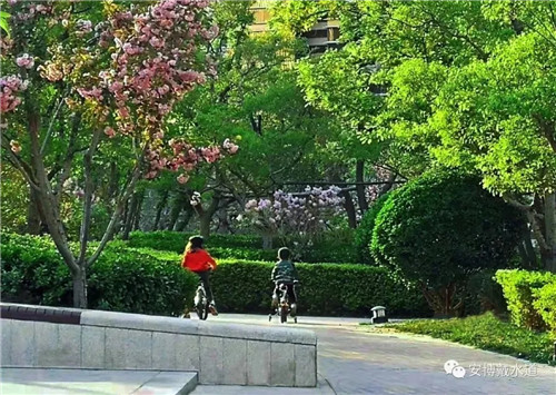 Ramboll Share | 國銳金嵿生態(tài)公園社區(qū)-環(huán)境友好型景觀設(shè)計(jì)與雨洪管理實(shí)踐