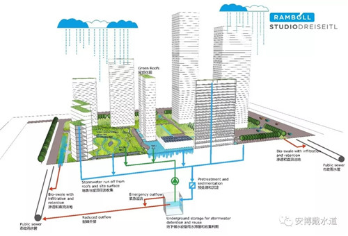 Ramboll Share | 國銳金嵿生態(tài)公園社區(qū)-環(huán)境友好型景觀設(shè)計(jì)與雨洪管理實(shí)踐