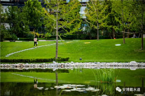 Ramboll Share | 國銳金嵿生態(tài)公園社區(qū)-環(huán)境友好型景觀設(shè)計(jì)與雨洪管理實(shí)踐
