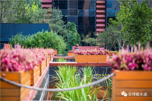 Ramboll Share | 國銳金嵿生態(tài)公園社區(qū)-環(huán)境友好型景觀設(shè)計(jì)與雨洪管理實(shí)踐