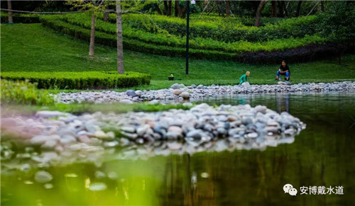 Ramboll Share | 國銳金嵿生態(tài)公園社區(qū)-環(huán)境友好型景觀設(shè)計(jì)與雨洪管理實(shí)踐