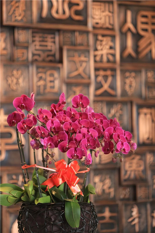 2019園冶杯專業(yè)獎(jiǎng)丨金領(lǐng)·九如意項(xiàng)目景觀設(shè)計(jì)
