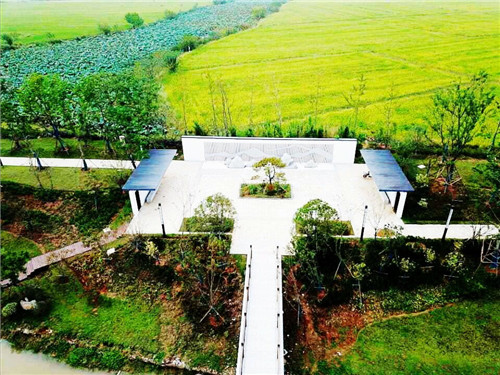 2019園冶杯專業(yè)獎丨蘇滁現(xiàn)代產(chǎn)業(yè)園第二批綠化景觀工程