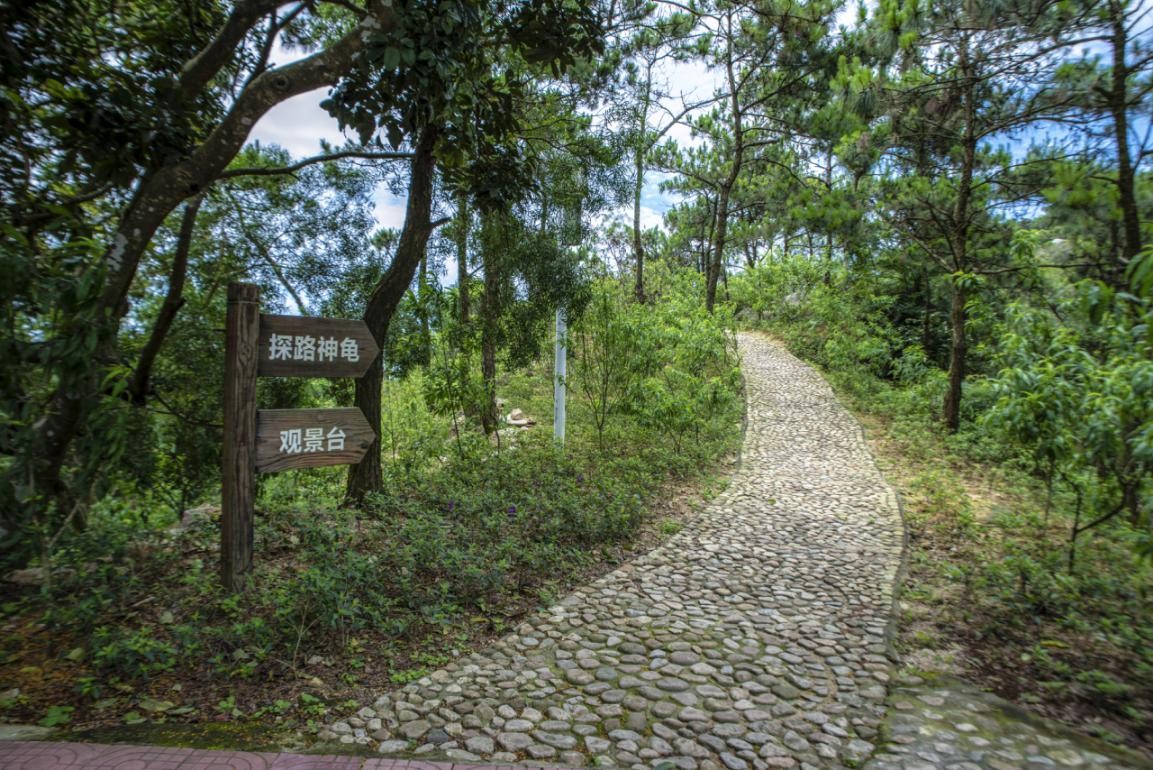 2019園冶杯專(zhuān)業(yè)獎(jiǎng)丨廣東南澳海島國(guó)家森林公園總體規(guī)劃