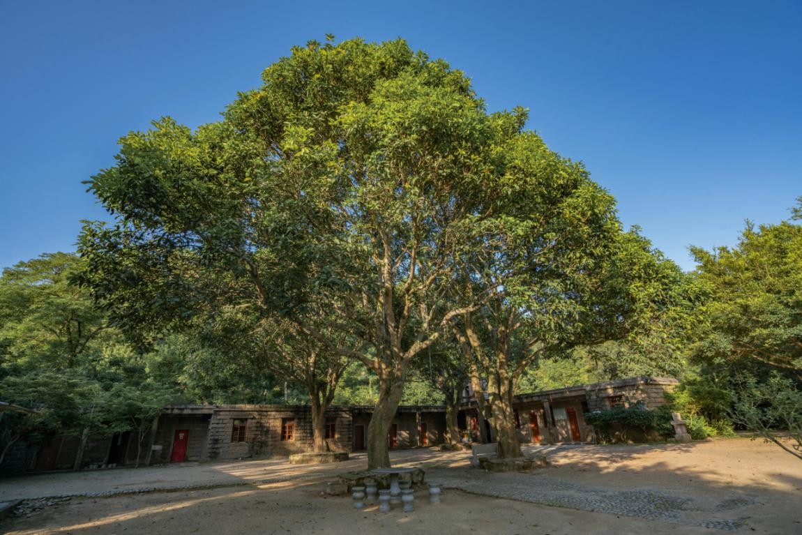 2019園冶杯專(zhuān)業(yè)獎(jiǎng)丨廣東南澳海島國(guó)家森林公園總體規(guī)劃