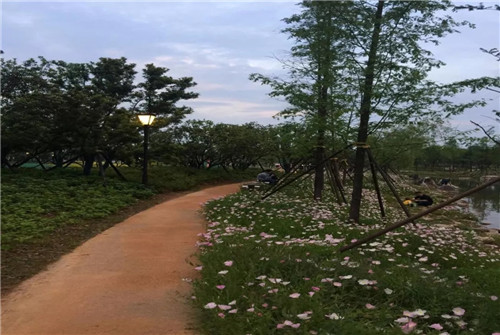 2019園冶杯專業(yè)獎(jiǎng)丨長(zhǎng)沙市望城區(qū)“一路一園”建設(shè)工程項(xiàng)目銀星灣公園