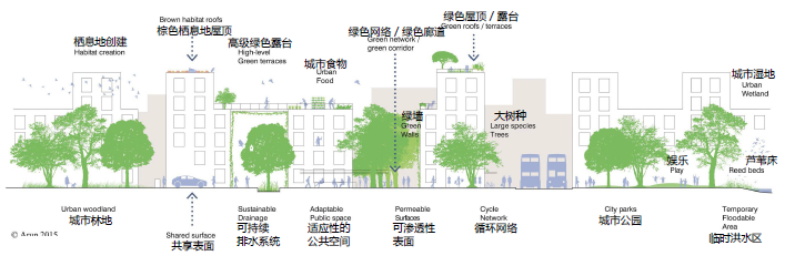 Justin Abbott：水設(shè)計(jì)——通過(guò)整合藍(lán)、綠、灰色基礎(chǔ)設(shè)施提高城市韌性