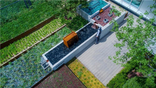 鄒裕波：可持續(xù)景觀設(shè)計實踐——海綿城市落地探討