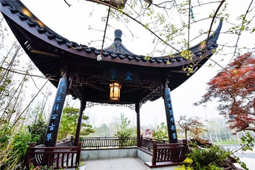 浙里故事｜深化設計，助力展園走上精品之路