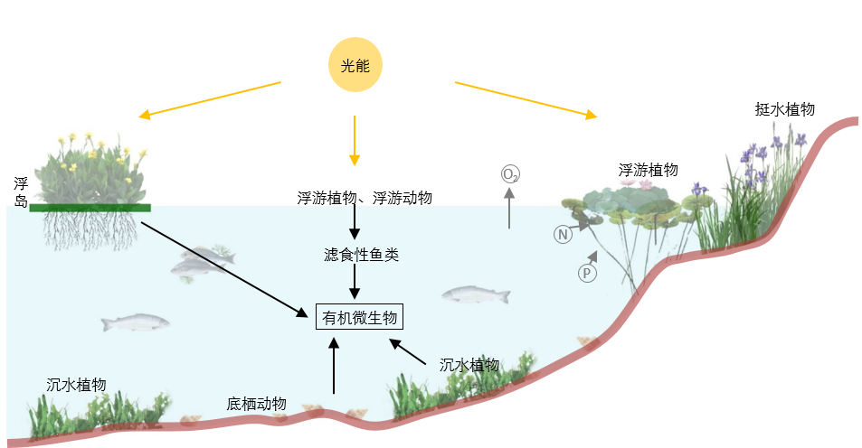 園冶杯專業(yè)獎|池州護(hù)城河遺址公園景觀與海綿設(shè)計