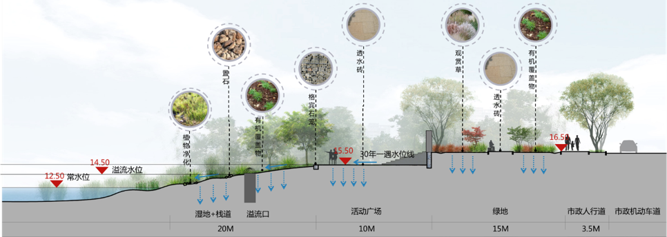 園冶杯專業(yè)獎|池州護(hù)城河遺址公園景觀與海綿設(shè)計
